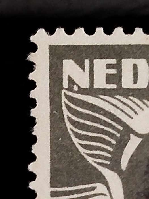 Netherlands Variety Nr 172 White Dot Under First "N" and White Dot Above First "N" FU