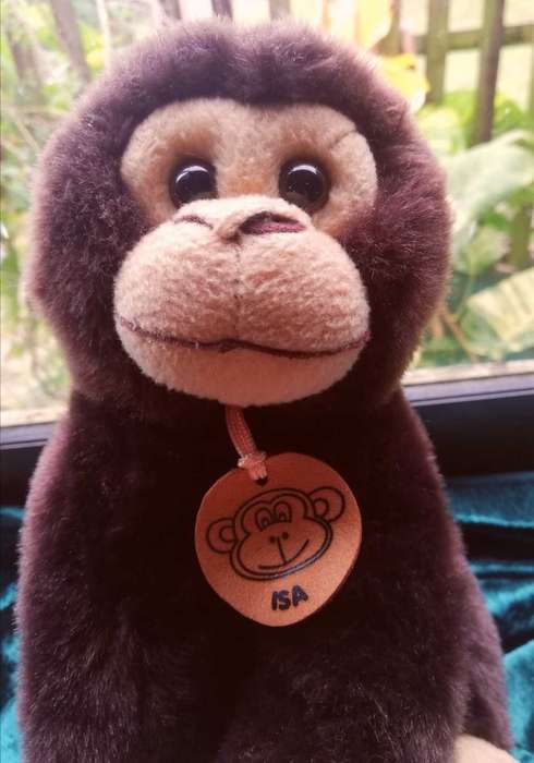 Monkey Business!  Chuckels the Super Soft Monkey!  25cm.