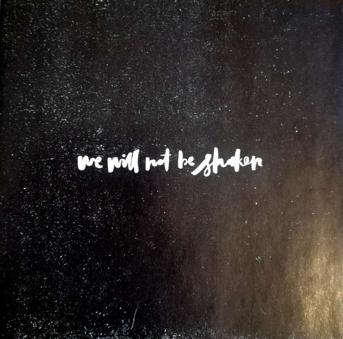 Bethel Music. We Will Not Be Shaken. Audio CD and DVD!