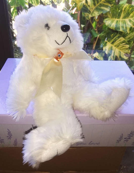 Sugar, the super soft Gifted Bear. Beautiful plush toy! 25cm.