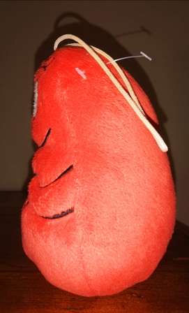 Collectable Peluche Barbabravo. Family of Barbapapa. 18cm.