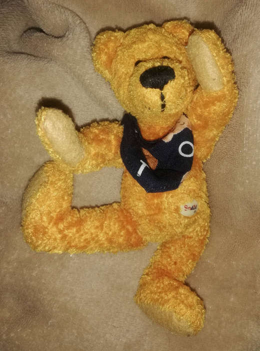 Beautiful little Caramel!  The Sunkid little Bear with a cute little navy Bandanna. 18cm.