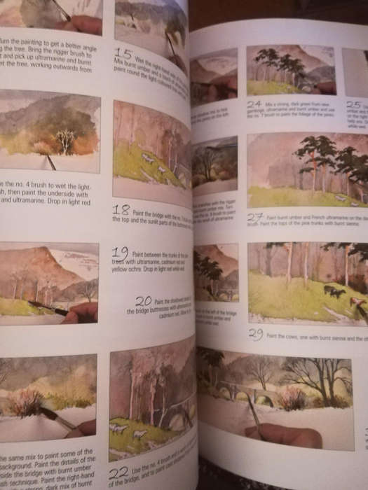 David Bellamy's Complete Guide to Watercolour Painting. Paperback. Awesome Book!