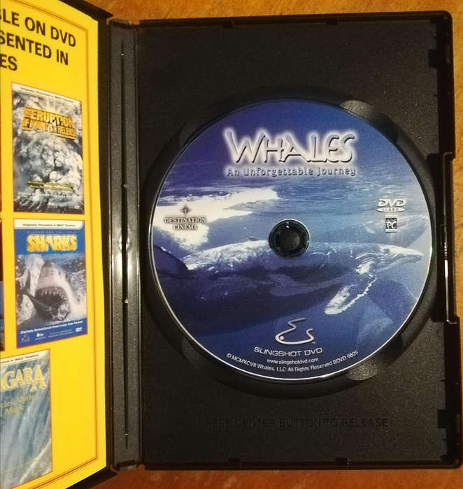 Whales. An Unforgettable Journey. DVD. As Seen In Imax Theaters.