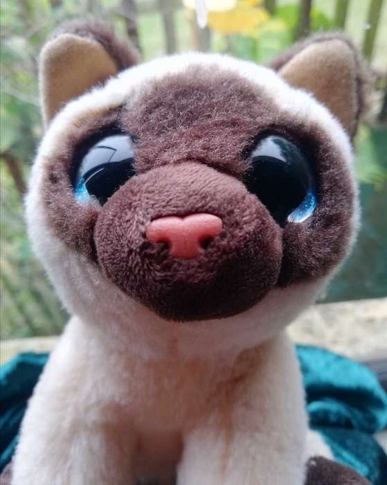 RARE TY Beanie Boo Velvety Plush - Jaden Siamese Cat. Soft Toy. 17cm.
