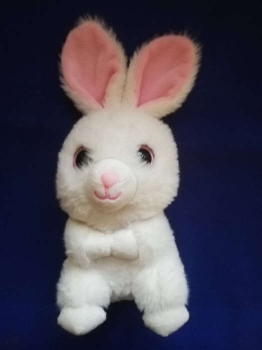Cuddles the Bunny is looking for a loving home! Super soft. 25cm.