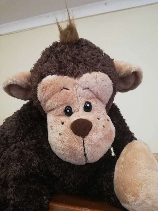 Monkey Business!  Chirpy the Super Cute Monkey!  50cm.