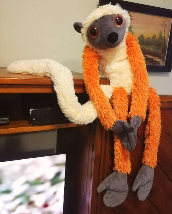 Large Nature Planet Sifaka Lemur Plush Soft Toy! 85cm.