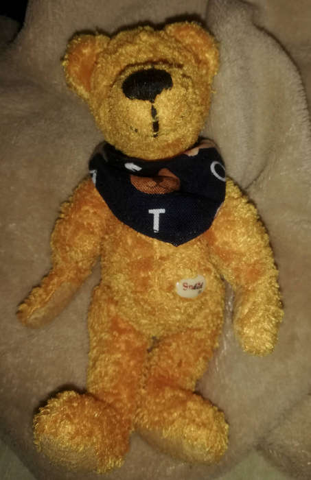 Beautiful little Caramel!  The Sunkid little Bear with a cute little navy Bandanna. 18cm.