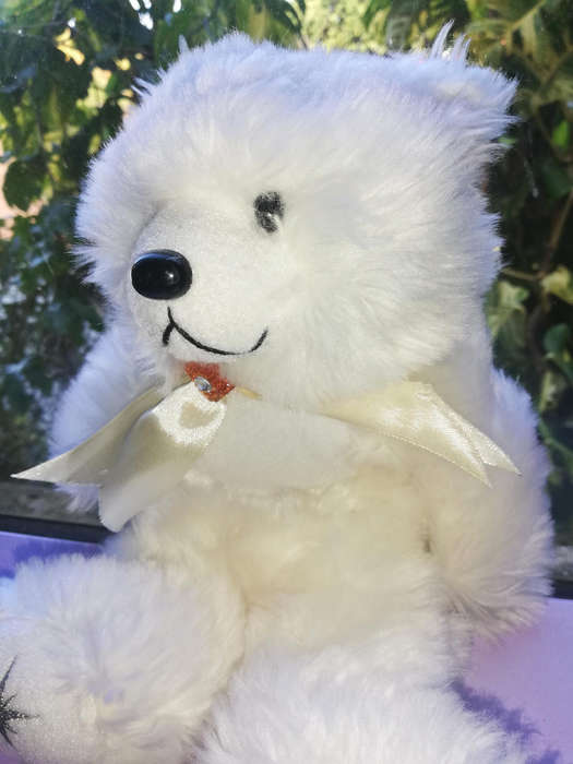 Sugar, the super soft Gifted Bear. Beautiful plush toy! 25cm.