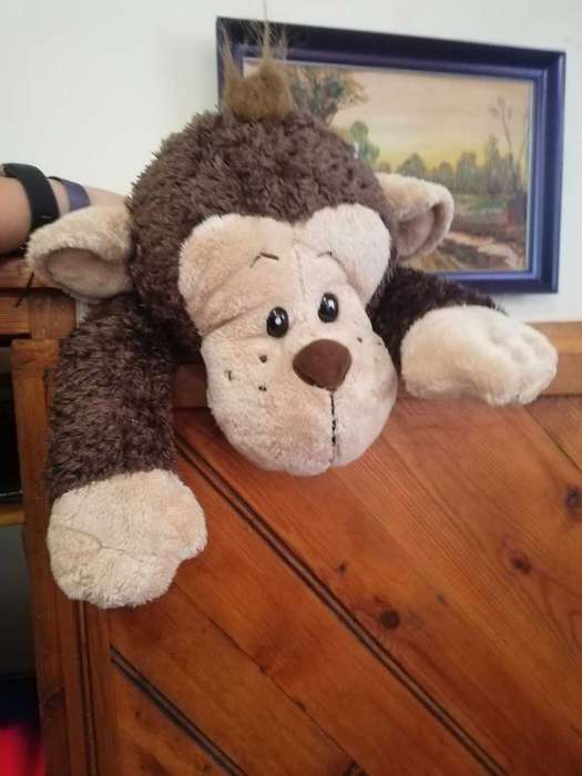 Monkey Business!  Chirpy the Super Cute Monkey!  50cm.