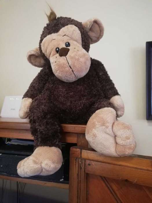 Monkey Business!  Chirpy the Super Cute Monkey!  50cm.