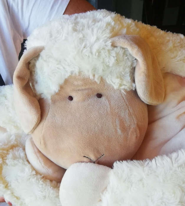 Beautiful, Baby Sheep Blanket/Comforter. Super Soft! 70cm x 50cm.