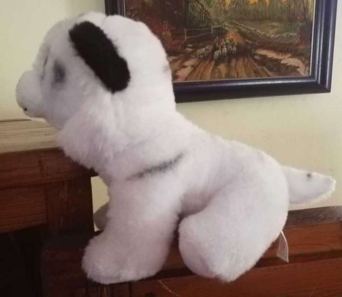 RARE Beanie Boo Velvety Plush - TY Tundra the Tiger. Soft Toy. 17cm.