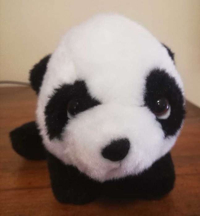 Beautiful little Bandit, the Panda.  WWF plush soft toy!  14cm.