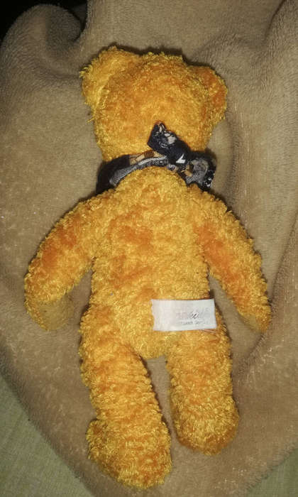 Beautiful little Caramel!  The Sunkid little Bear with a cute little navy Bandanna. 18cm.