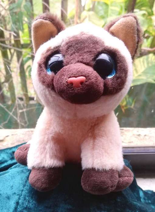 RARE TY Beanie Boo Velvety Plush - Jaden Siamese Cat. Soft Toy. 17cm.
