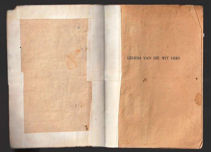 Geheim van die Wit Heks - Braam Le Roux - Swart Luiperd 18 - Pronk Boek
