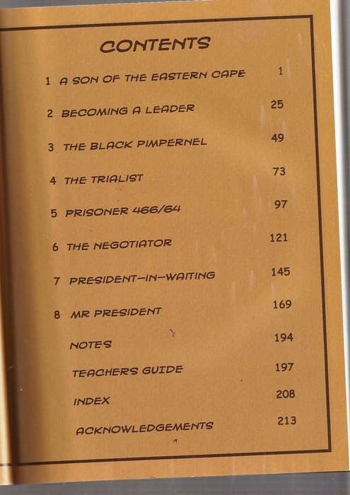 Nelson Mandela the Autherised comic