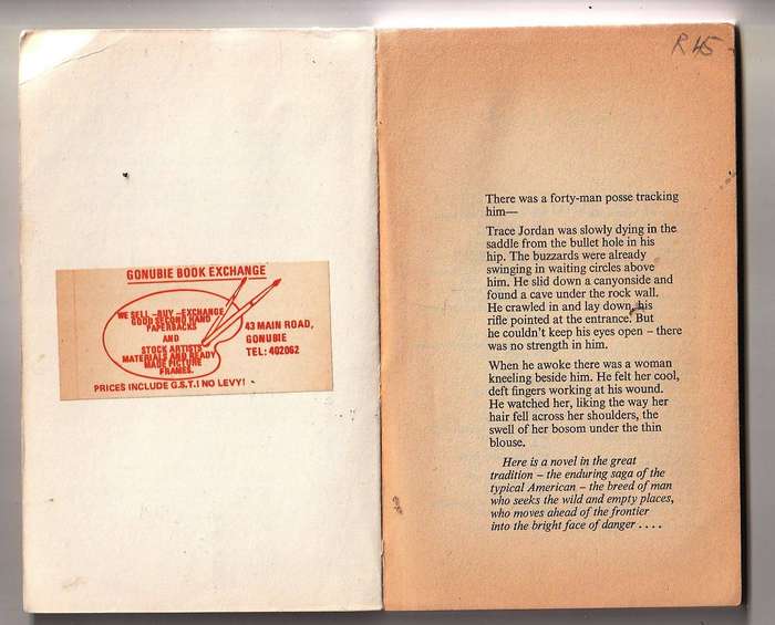The burning Hills - Louis LAmour - Western