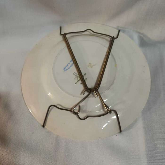 Staffordshire Rose sideplate wall hanging