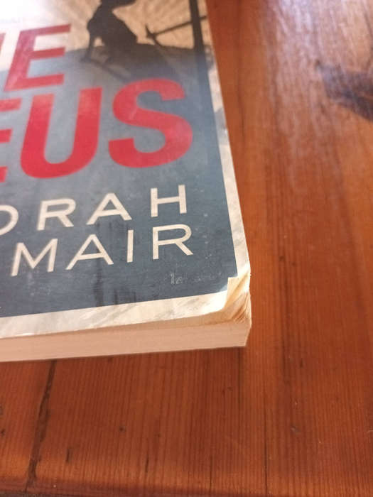 Die Neus deur Deborah Steinmair