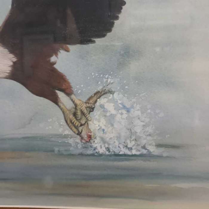 Fish eagle scene watercolour by Estelle van Schalkwyk