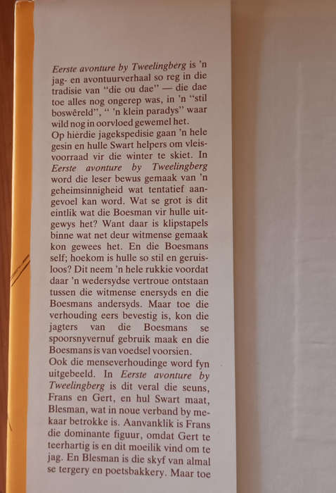 Eerste Avonture by Tweelingberg. Hansie Coetzee