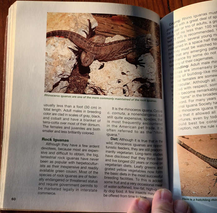 The Iguana Handbook