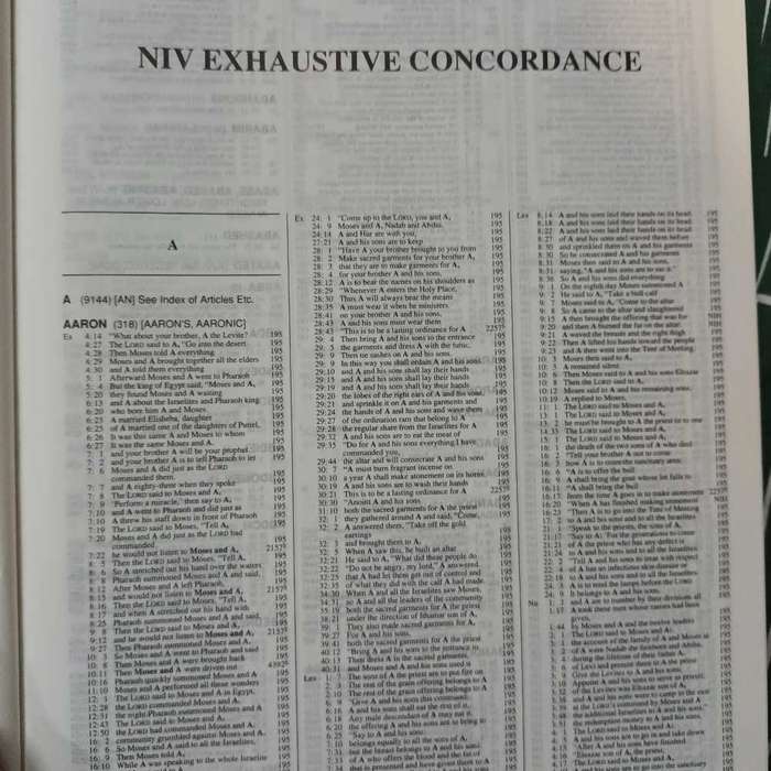 The Strongest NIV Exhaustive Concordance