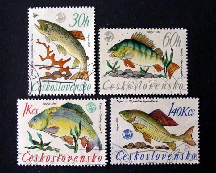 CZECHOSLOVAKIA - World Angling Championships 1966 //Fish