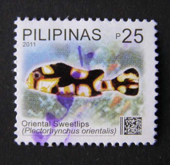 PHILIPPINES - Marine Biodiversity 2011