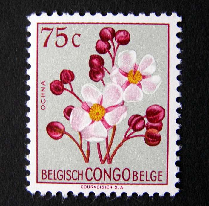 BELGIAN CONGO Mint - Flowers 1952
