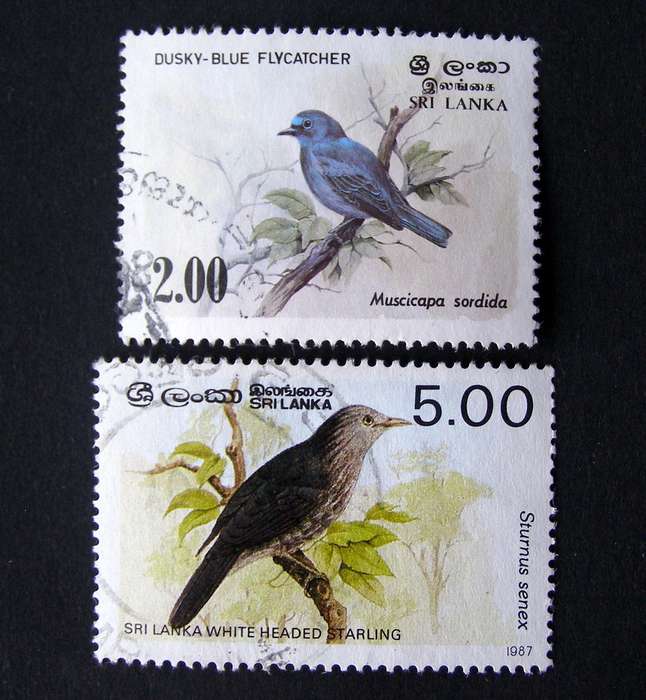 SRI LANKA - Birds 1983-87