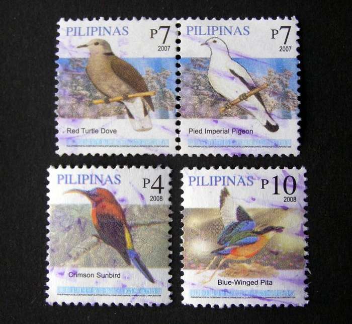 PHILIPPINES - Birds 2007