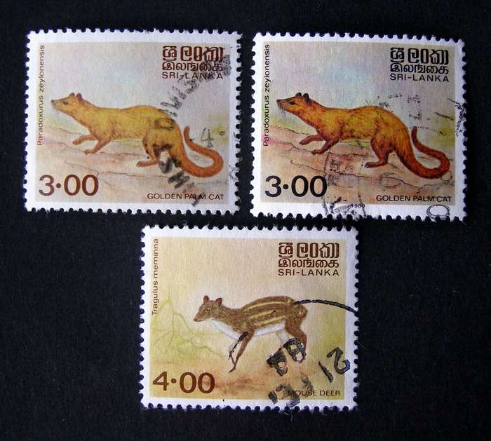 SRI LANKA - Animals 1982