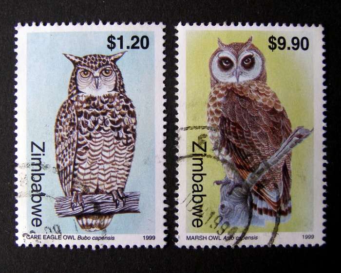 ZIMBABWE - Owls (3rd Series) 1999 //Birds