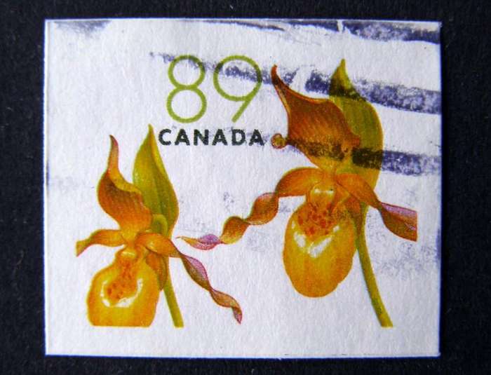 CANADA  - Flowers (1st Series) 2004