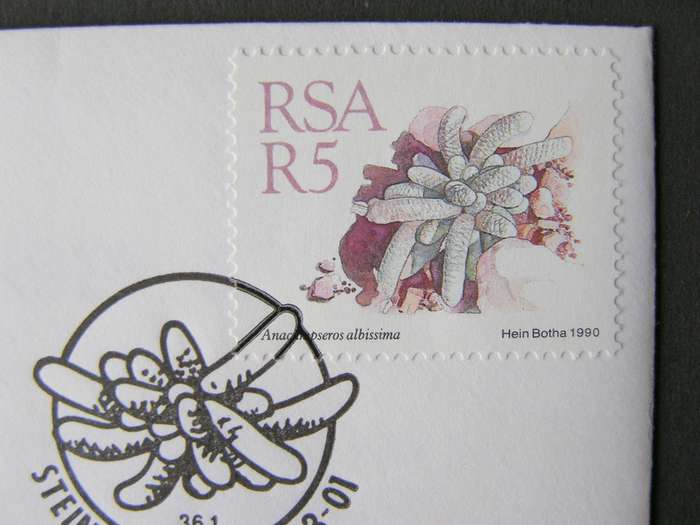 SOUTH AFRICA Cover - R5 Succulents Definitive 1990