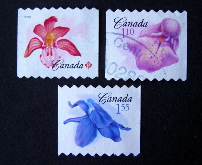 CANADA - Flowers (2nd Series) 2006