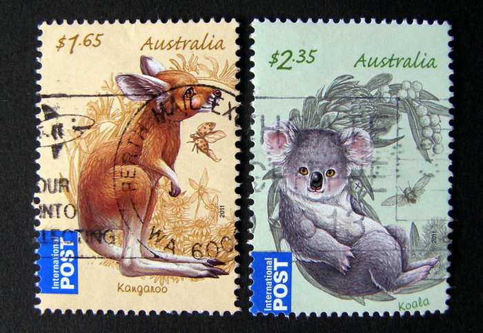 AUSTRALIA - Australian Bush Babies 2011