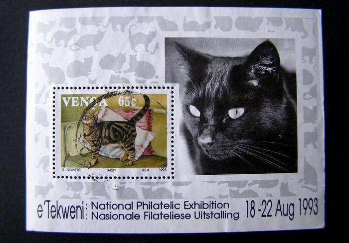 VENDA Miniature Sheet - Cats 1993