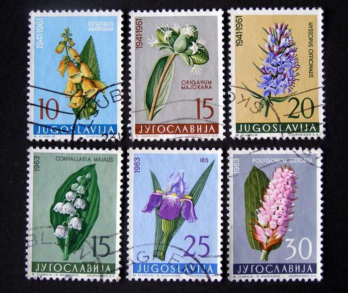 YUGOSLAVIA - Medicinal Plants 1961-63 //Flowers