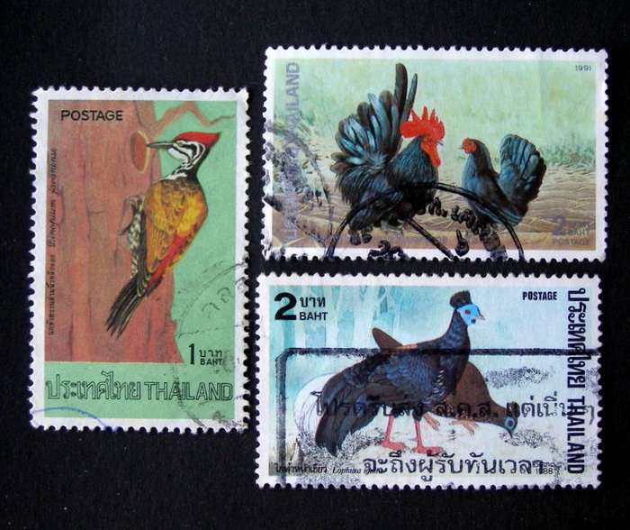 THAILAND - Assorted Birds