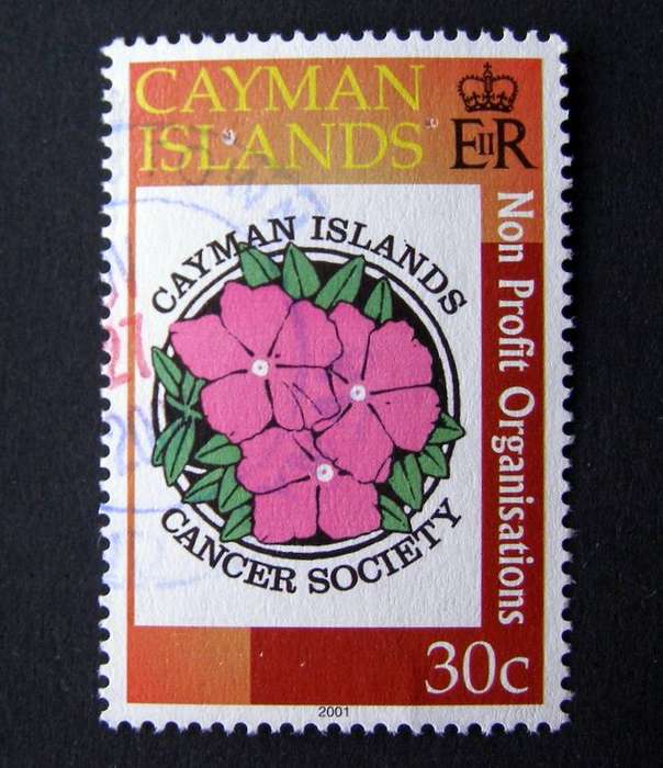 CAYMAN ISLANDS - Non Profit Organizations 2001