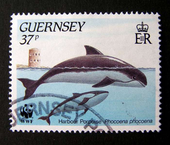 GUERNSEY - Marine Life 1990