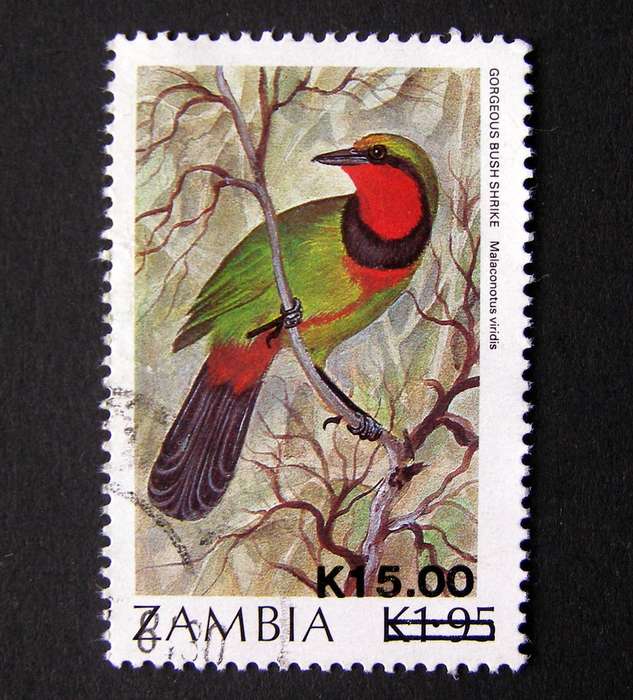 ZAMBIA - Birds Surcharge 1989