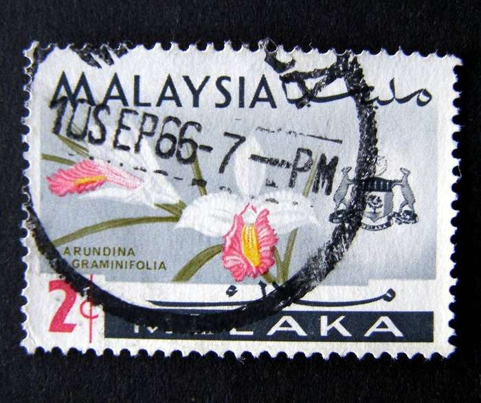 MALACCA - Orchids 1965 //Flowers