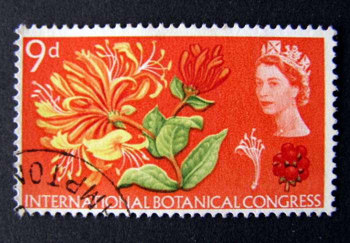 GREAT BRITAIN - International Botanical Congress (Phosphor Bands) 1964 //Flowers