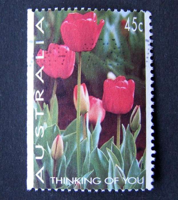 AUSTRALIA - Greetings 1994 //Flowers